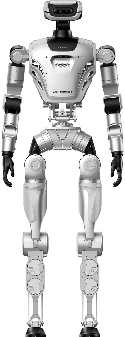 body